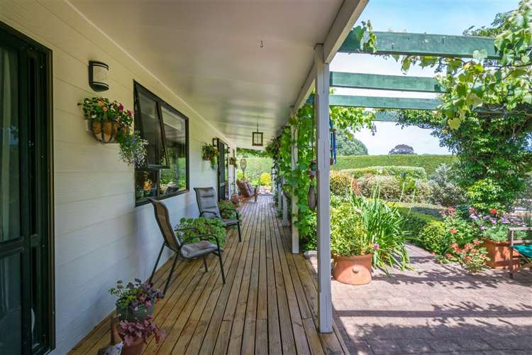 216 Neal Road Spring Creek_17