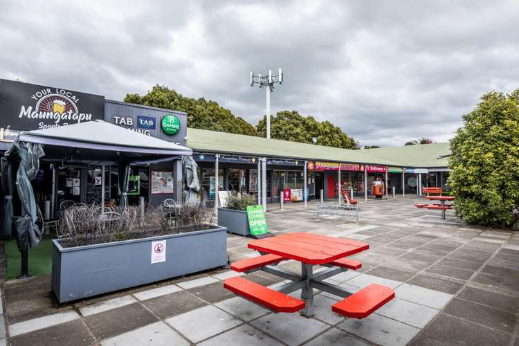 3a Hinerua Street Maungatapu_17