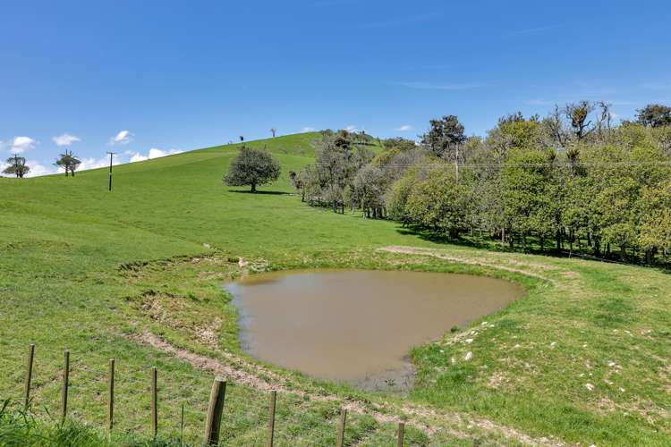 458 Parahi Road Ruawai_15