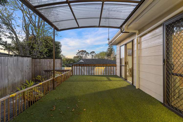 3/23b Cradock Street Avondale_13