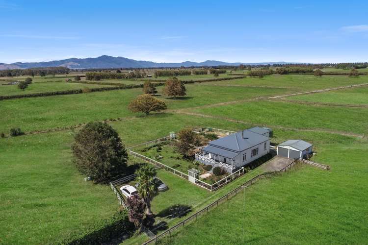 390 Paeroa-Tahuna Road Springdale_21
