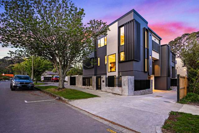 Brand-New Luxury Home in Double Grammar Zone