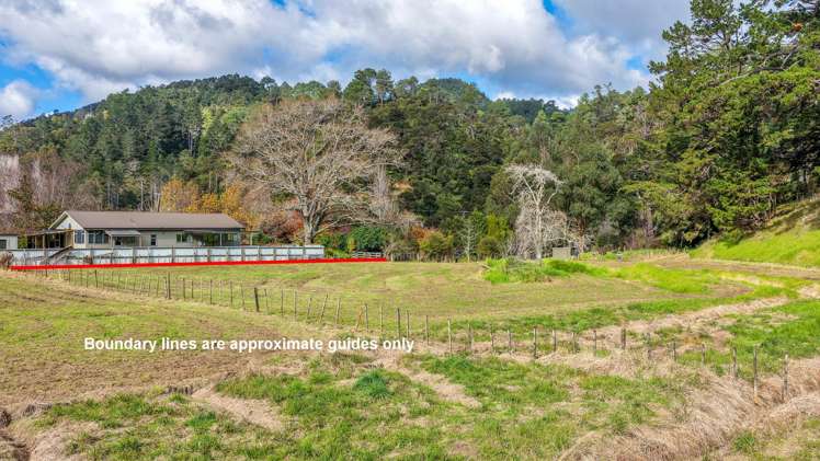 163 and 165 Tapu Coroglen Road Tapu_18