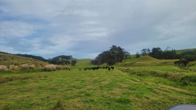 Pinaki Road Te Kopuru_4