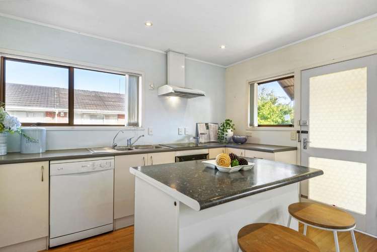 1/3 Matai Road Greenlane_8