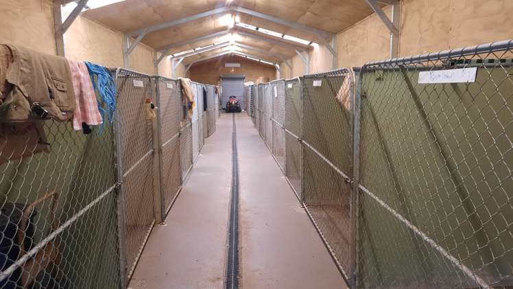 746 Clutha River Road Rongahere_8