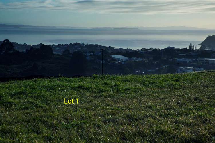 1 Woodridge Drive Stanmore Bay_11