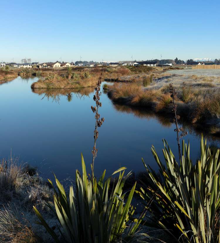 40 Tiritiri Moana Drive Pegasus_12