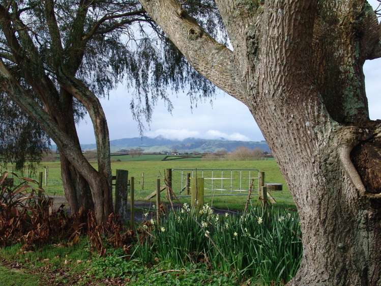 11 Rangiaowhia Road Te Awamutu_9