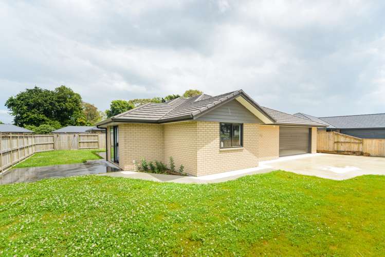 47 Wilson Street Bulls_10