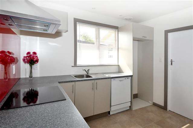 17A Elzy Street Blenheim Central_2