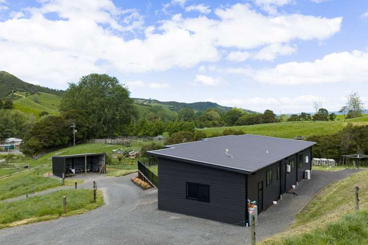 577A Mangawara Road Morrinsville_39