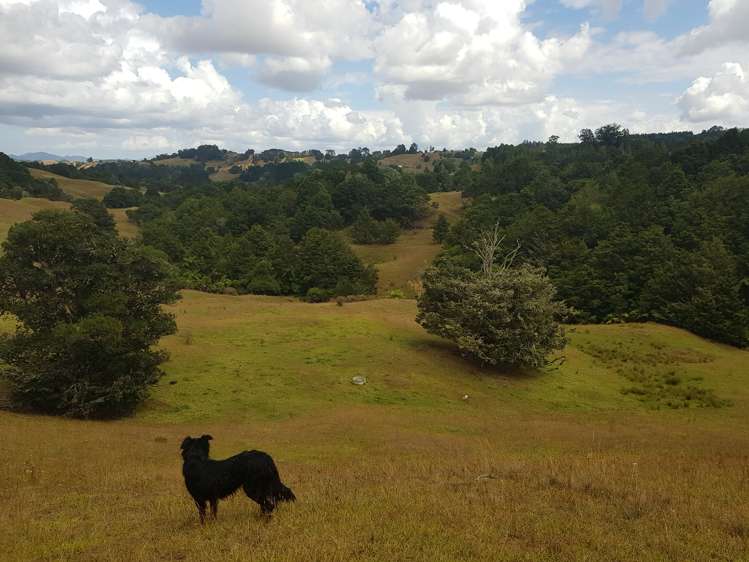 160 Otuhi Road Mangapai and Surrounds_7