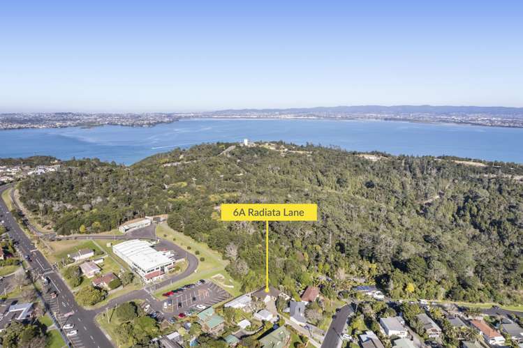 6a Radiata Lane Chatswood_17