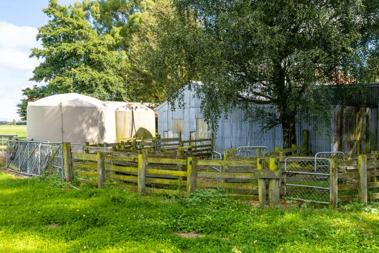 3239 Thompsons Track Ashburton Forks_14