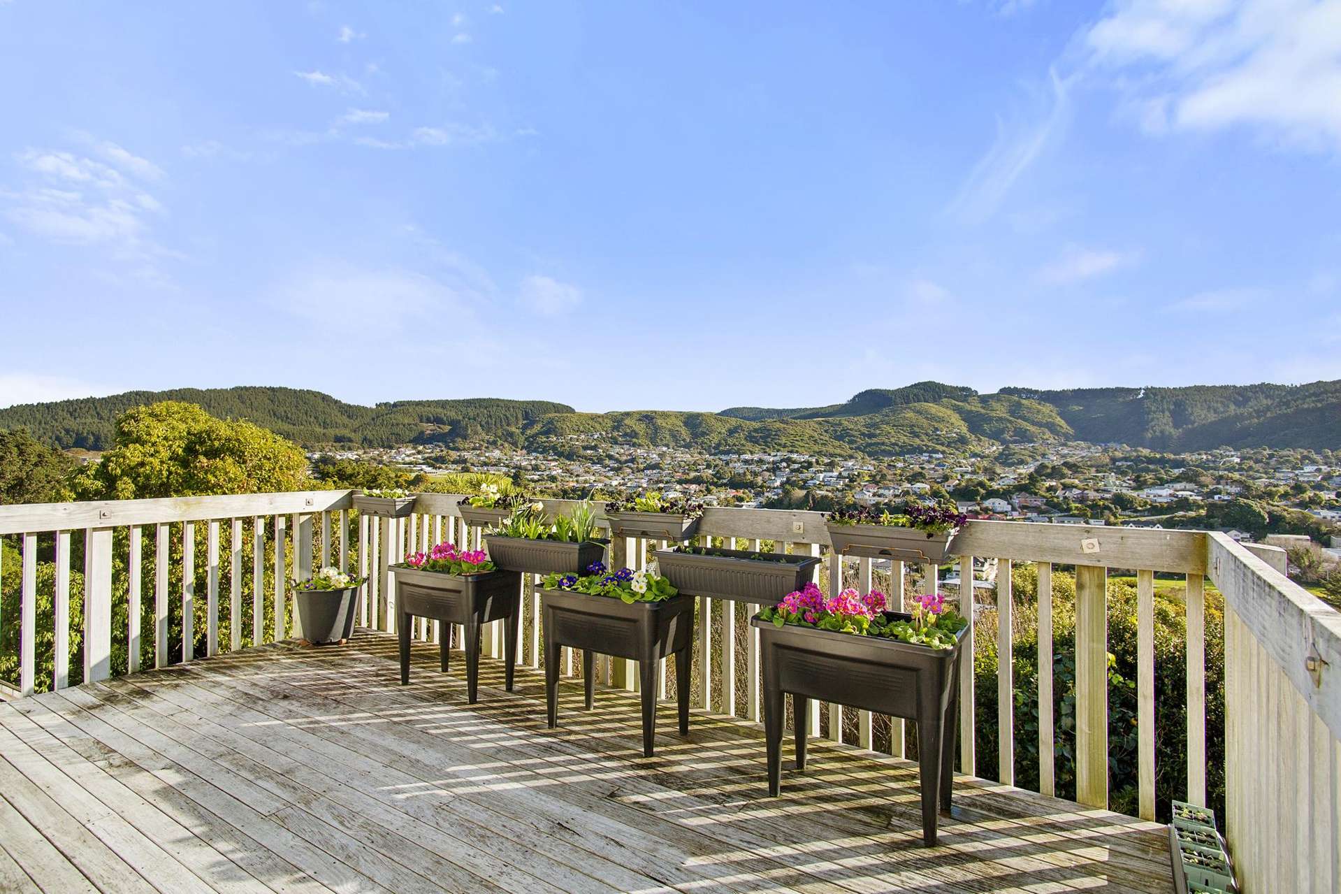 22a Bartlett Grove Tawa_0