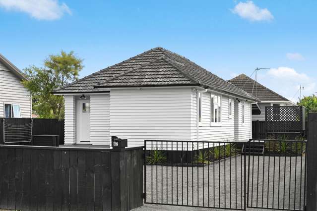 Fully Renovated on a freehold section!