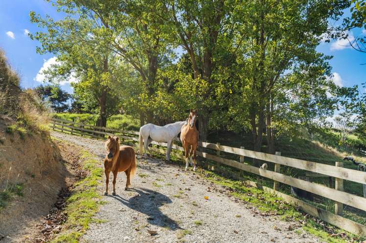 957 Bull Road Paparoa_22