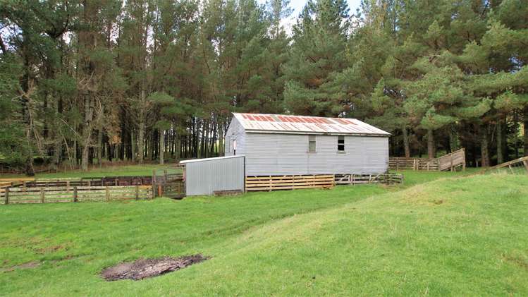 4501 State Highway 4 Waimiha-Ongarue_7