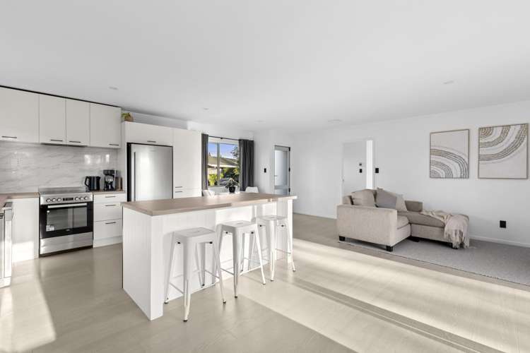 66 Thompson Street Leamington_2