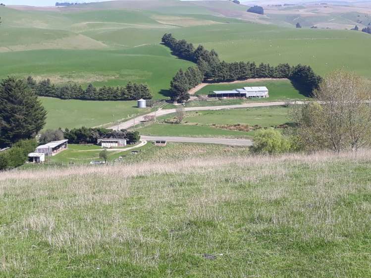 144 Tokarahi-Duntroon Road Five Forks and Surrounds_0