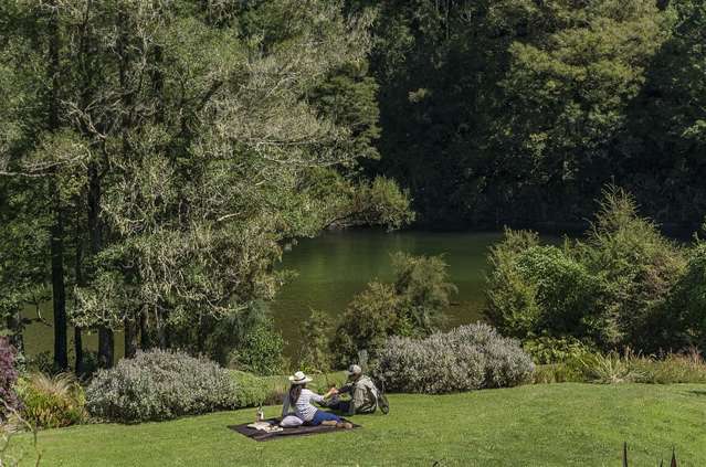 2314 Shenandoah Highway Murchison_4