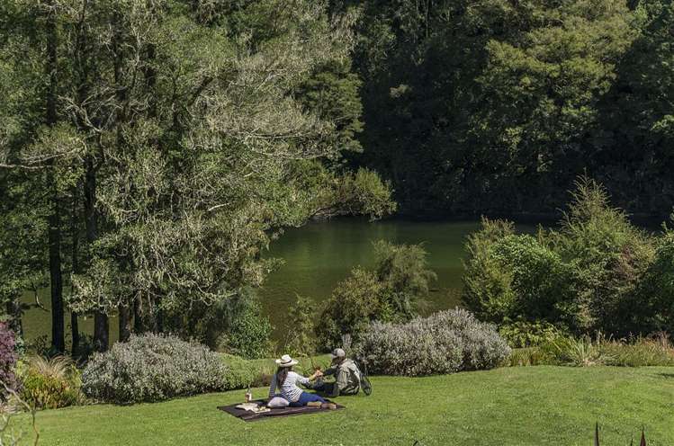 2314 Shenandoah Highway Murchison_4