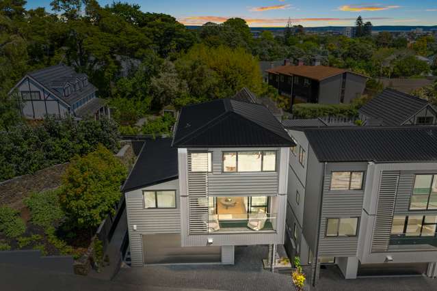 27a View Road Mount Eden_1