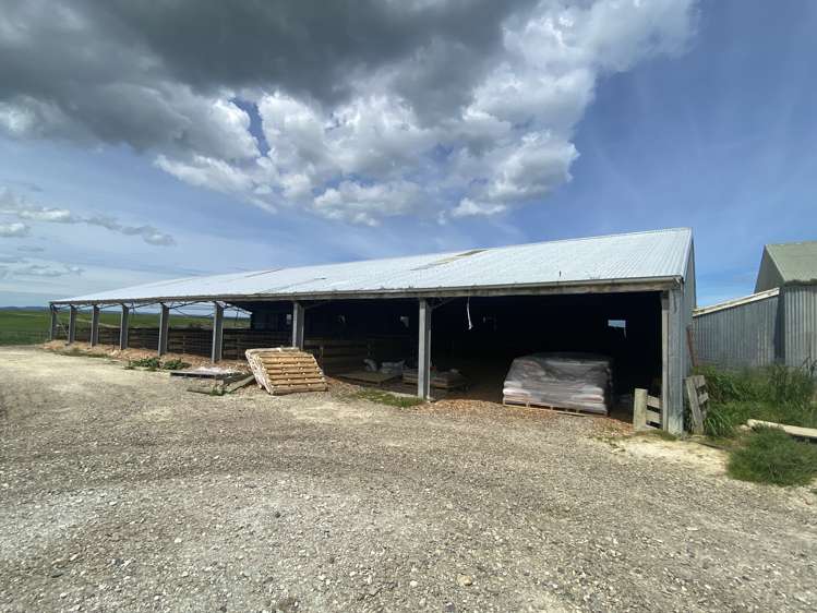 491 Waituna Gorge Road Wyndham Surrounds_13