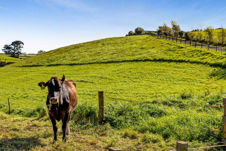 5674 Mountain Road Hawera_63