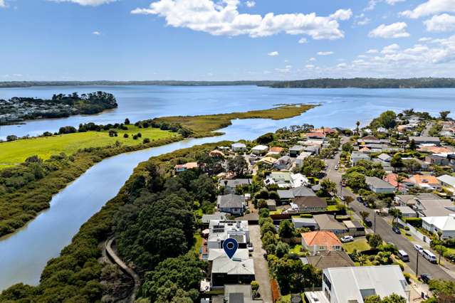 48A Sunny Brae Crescent Westmere_2