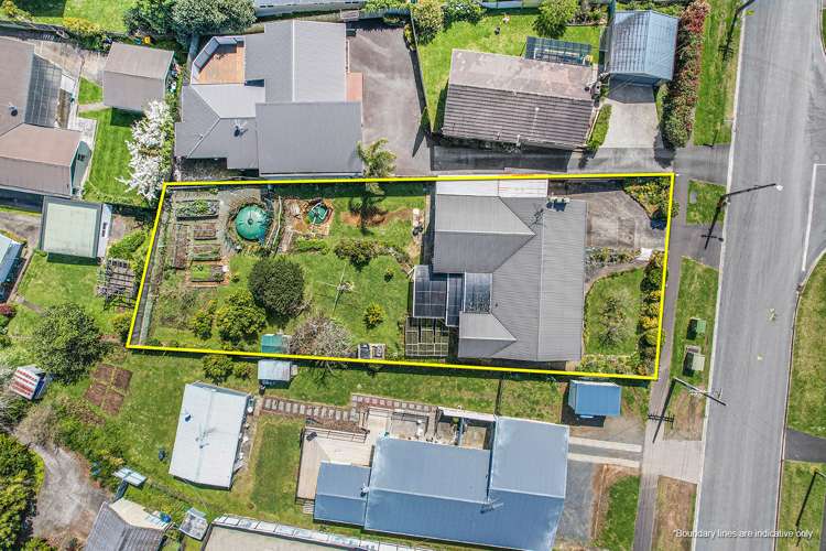 31 Thomson Avenue Dinsdale_2