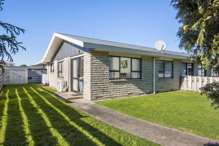 14C Boyd Street Katikati_1