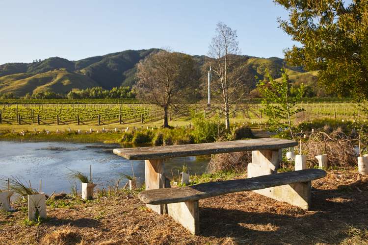 212 Selmes Road Rapaura_12