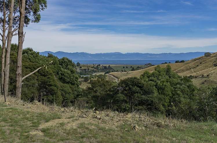 584 Wakapuaka Road Wakapuaka_18