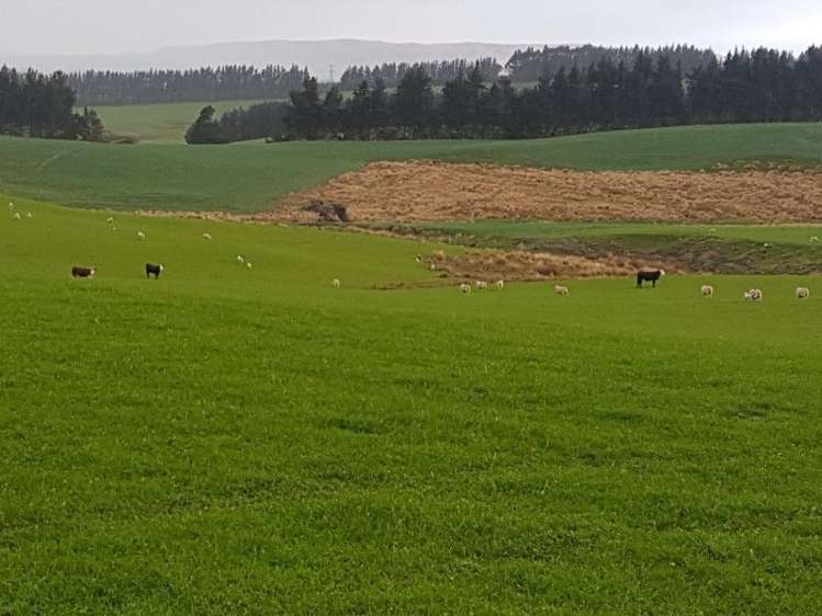 1680 Mahinerangi Road Waipori_27