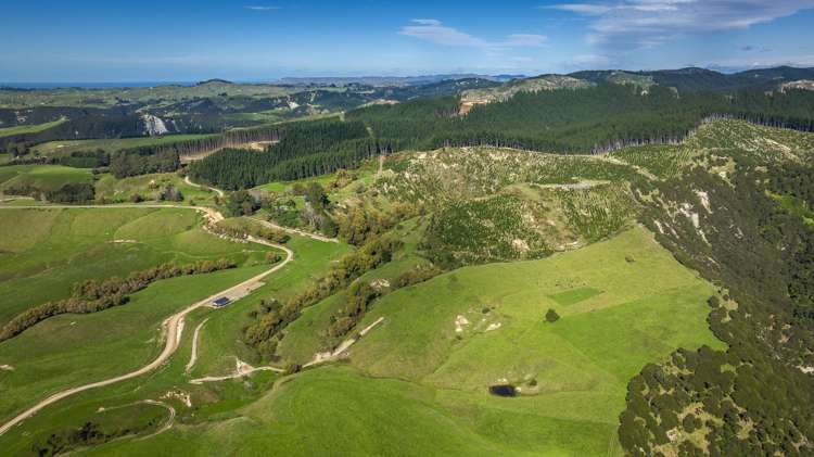 888 Kakariki Farm Road Kotemaori_22