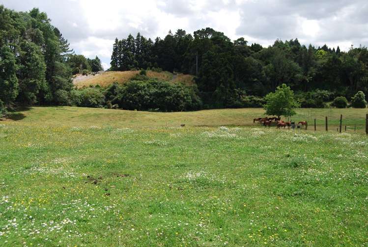 1027c Highway 22 Pukekawa_6