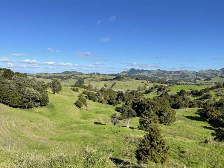 203 Otuhi Road Mangapai and Surrounds_18