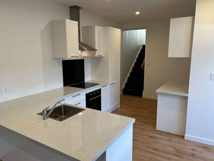 179 Point Chevalier Road Pt Chevalier_3