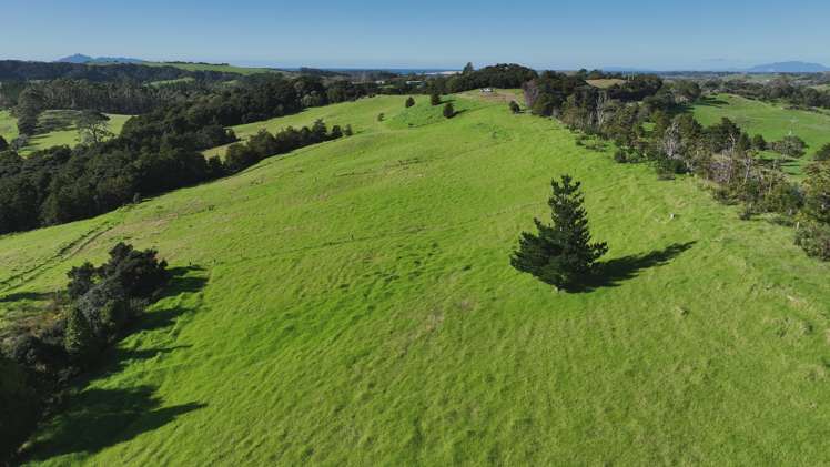 Mangawhai Bush Estate Mangawhai_8