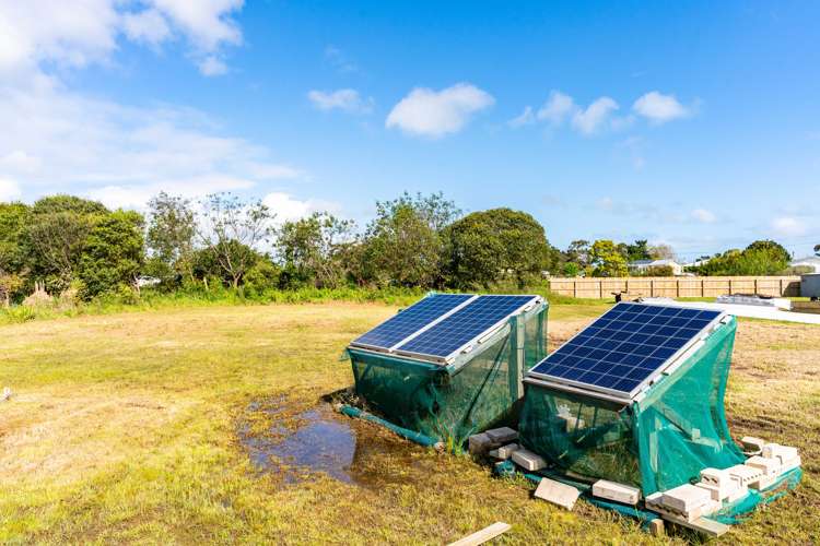 20 Graham Street Te Kopuru_4