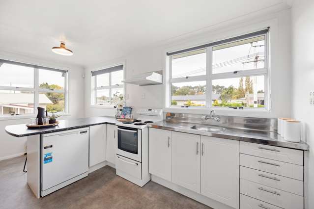 1/10 Pine Avenue Bader_3