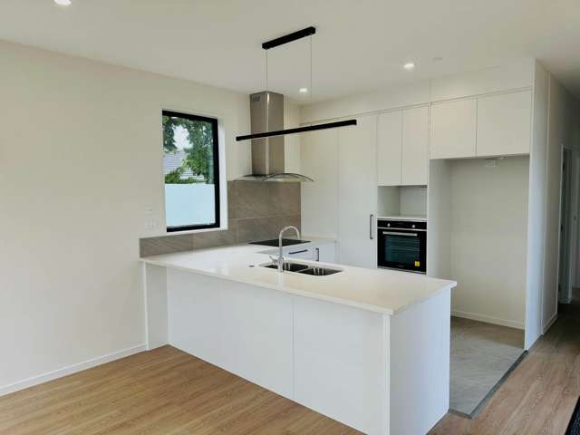 6A Cleghorn Avenue Mt Roskill_2