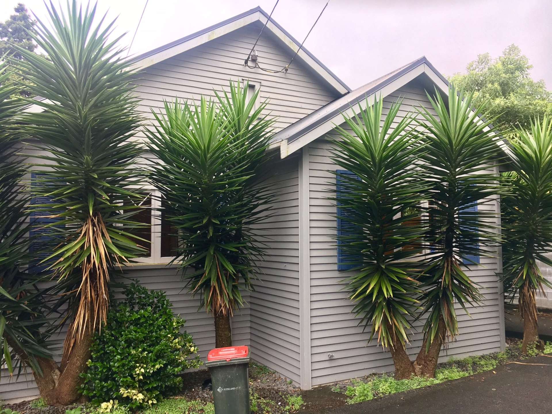 55 King George Avenue Epsom_0