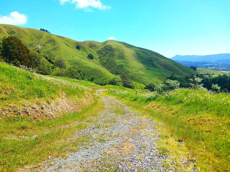 Lot 0 Te Rore Road Kaitaia_25