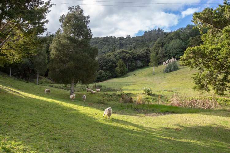 17 Christine Place Warkworth_8