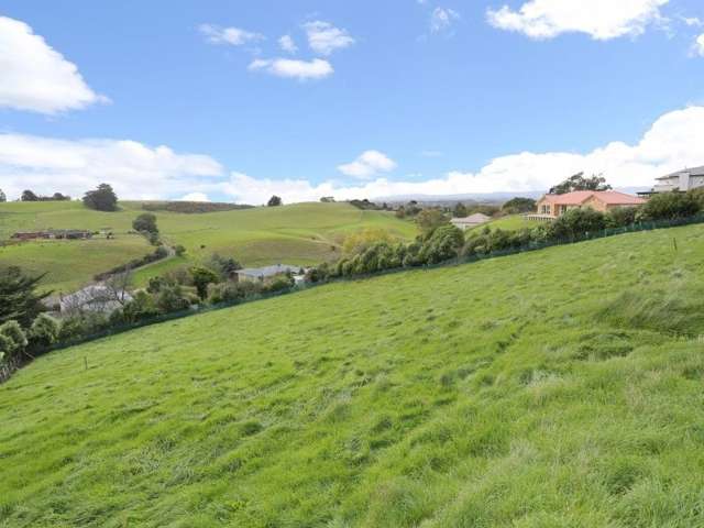 6 Harper Mews Feilding_1