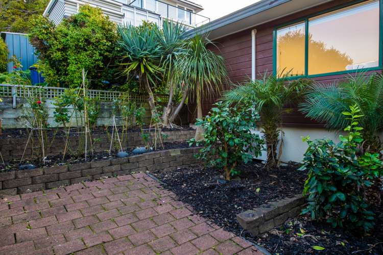 1e Park Avenue Takapuna_19