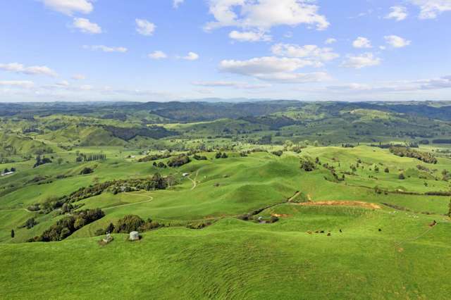 878 Mokauiti Road Aria_2